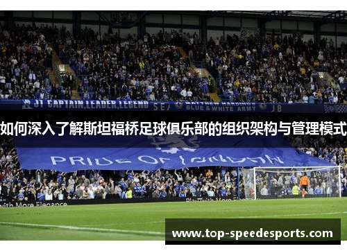 如何深入了解斯坦福桥足球俱乐部的组织架构与管理模式