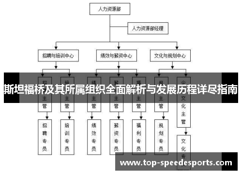 斯坦福桥及其所属组织全面解析与发展历程详尽指南