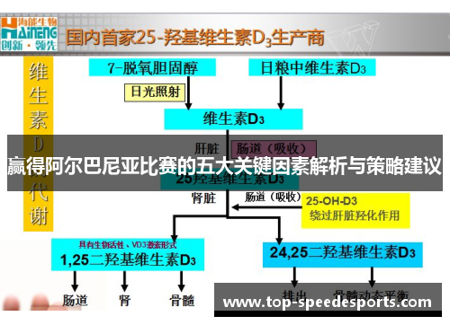 赢得阿尔巴尼亚比赛的五大关键因素解析与策略建议