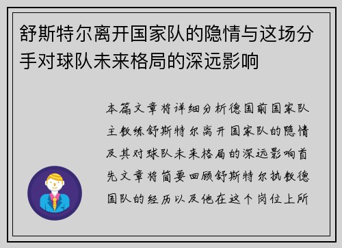 舒斯特尔离开国家队的隐情与这场分手对球队未来格局的深远影响